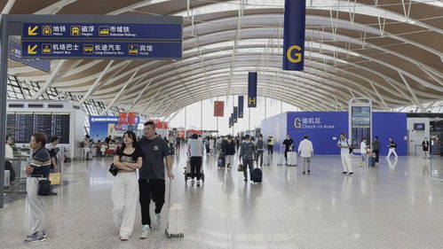雙節(jié)同慶客流井噴，上海機(jī)場(chǎng)日均客流首破40萬(wàn)大關(guān)折射出境游復(fù)蘇浪潮